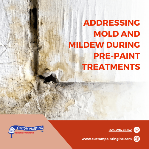 Addressing Mold and Mildew During Pre-Paint Treatments