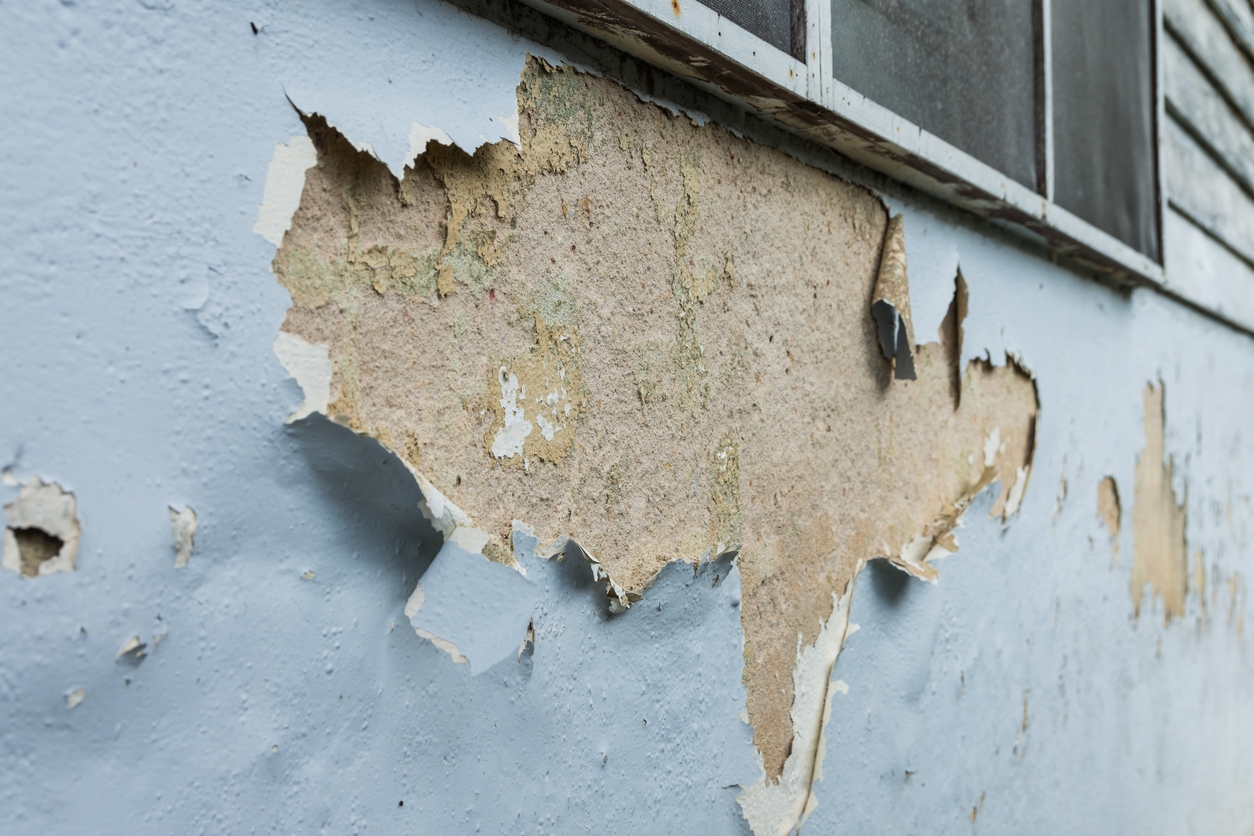 the wall paint peeling